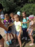 Dzieci losują karteczki z zadaniami