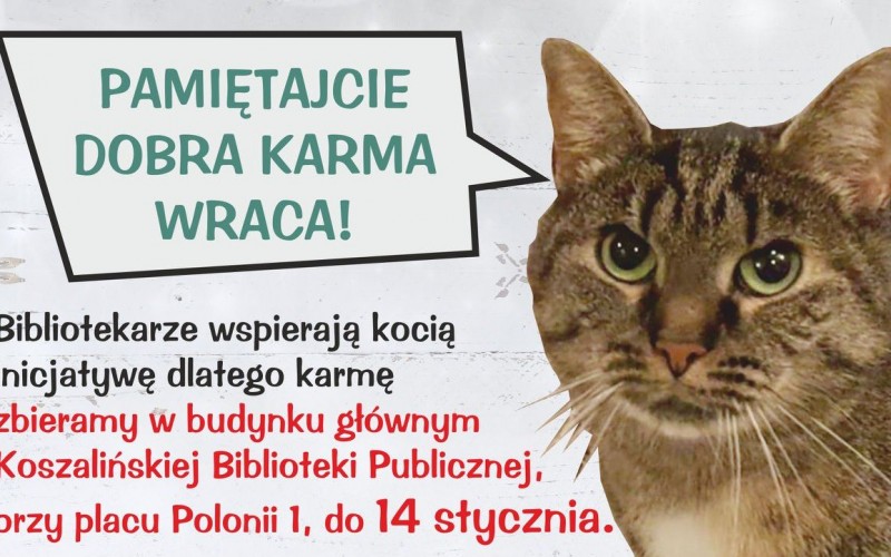 Na zdjęciu: Grafika promująca zbiórkę dla kotów z Mruczkowa przez Koszalińską...