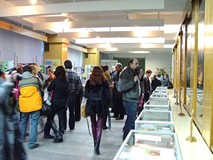 Wszystkie koty są nasze - wystawa pokonkursowa