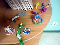 Nasze małe mini zoo