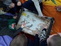 Wykopaliska