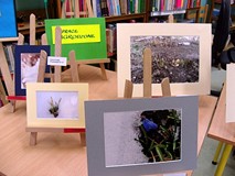 Konkurs fotograficzny „Pierwsze oznaki wiosny”
