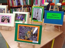 Konkurs fotograficzny „Pierwsze oznaki wiosny”