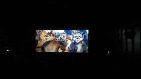 wakacje-10072019-2_original