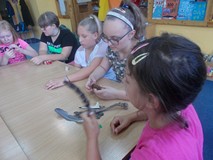 Dzieci poznają atrybuty zwierząt leśnych i domowych