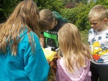 Dzieci wykonują zadania na dworze w grupach