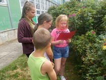 Dzieci wykonują zadania na dworze w grupach