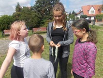 Grupa dzieci liczy znalezione przez siebie gąsienice