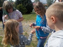 Grupa dzieci liczy znalezione przez siebie gąsienice