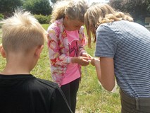 Grupa dzieci liczy znalezione przez siebie gąsienice