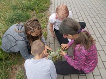 Dzieci układają kompozycje kwiatowe