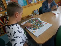 Chłopiec ogląda książkę o gatunkach drzew