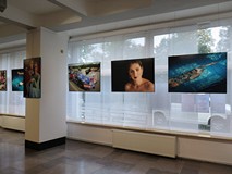 Wystawa towarzysząca 16-tej edycji Europejskiego Festiwalu Filmowego Integracja Ty i Ja