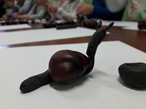 Ślimak Szatyn