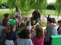 Leśne opowieści na wakacje 2013