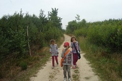 Z przyrodą za pan brat