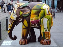 Dzień różnorodności