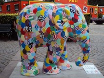 Dzień różnorodności