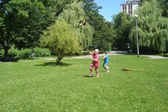 Dzień różnorodności