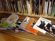 Nowoczesna Biblioteka 2013