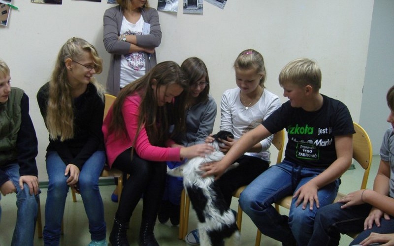„Czarna księga kolorów” - kolejne zajęcia