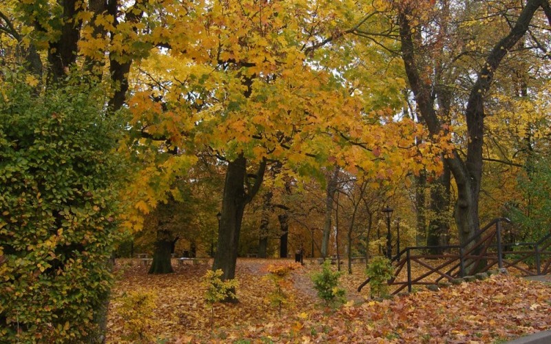 Jesienny koszaliński park