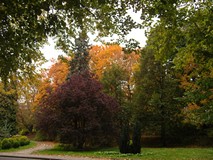Jesienny koszaliński park