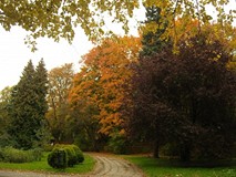 Jesienny koszaliński park