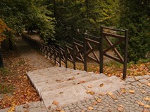 Jesienny koszaliński park