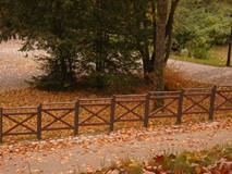 Jesienny koszaliński park