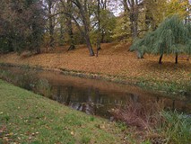 Jesienny koszaliński park