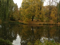 Jesienny koszaliński park