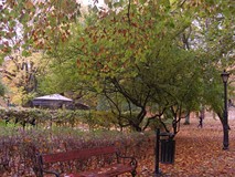 Jesienny koszaliński park
