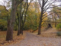 Jesienny koszaliński park