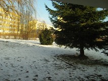 Zima już tu jest