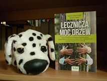 na zdjęciu książka Marco Mencagli, Marco Nieri Lecznicza moc drzew. Obok maskotka białego pieska w c