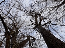 Autor zdjęcia: Aleksandra Sawosz