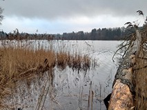 Autor zdjęcia: Maksymiliam Pikta