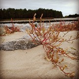 Autor zdjęcia: Hanna Kozłowska