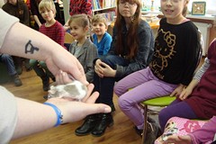 Dzień pełen wrażeń