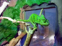 Z wizytą na Madagaskarze