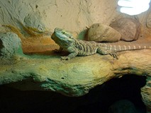 Z wizytą na Madagaskarze