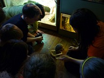 Z wizytą na Madagaskarze