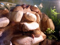 Z wizytą na Madagaskarze