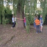 Dzieci przytulają się do drzew w ogrodzie bibliotecznym.