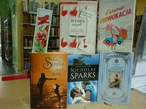 książki: Wyspa singli M. Falkowska, Ostatnia prowokacja L.Lee, Anioł stróż i Pamiętnik N. Sparks, Ro