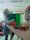 Dziewczynka wyjmuje z kolorowej skrzynki szyszki i jabłka