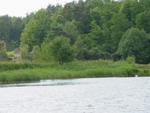Wojewódzkie Święto Bibliotekarzy