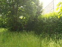 „Pamiętajcie o ogrodach”
