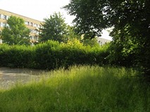 „Pamiętajcie o ogrodach”
